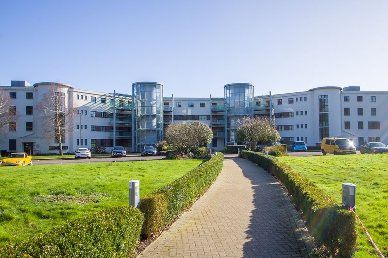 Main Image